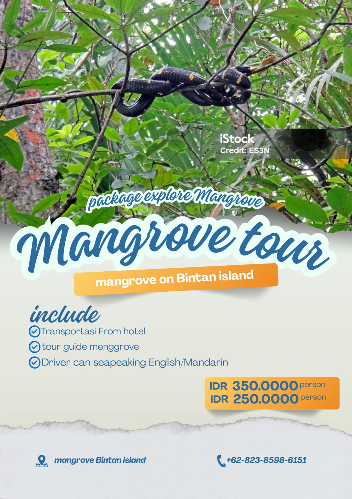 Image PACKAGE MANGROVE TOUR 