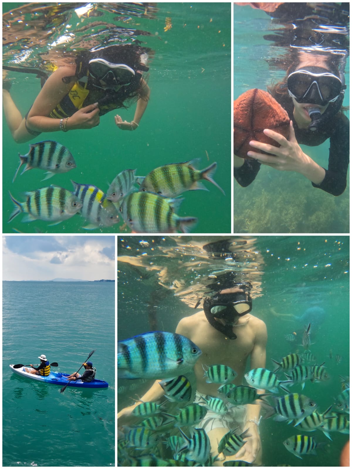 Image AVAILABLE SNORKELING IN BINTAN ISLAND (BOOK NOW) CONTAC US VIA WHATSAPP : +62-823-8598-6151